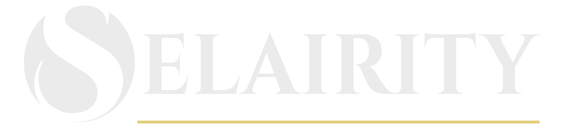 Selairity Logo